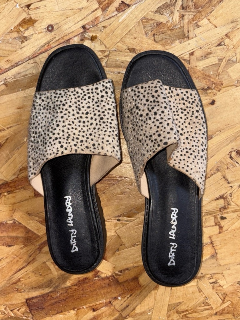 Dirty Laundry Black & Beige Spotted Slide Mules